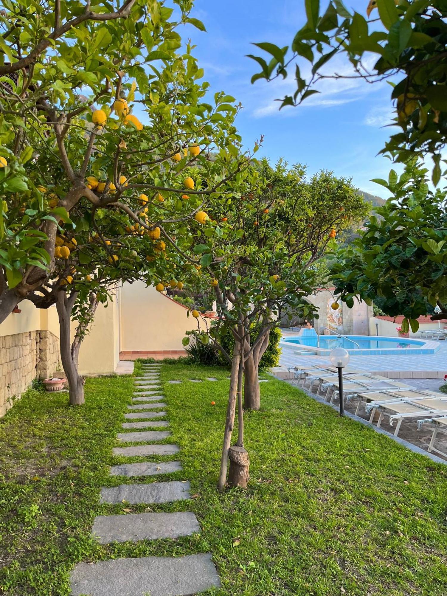 Resort Villa Flavio Casamicciola Terme Exterior foto